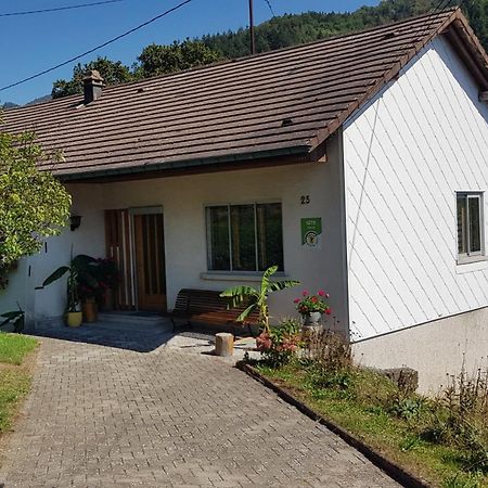 Les Noyers Du Wissbach Villa Willer-sur-Thur Exteriör bild
