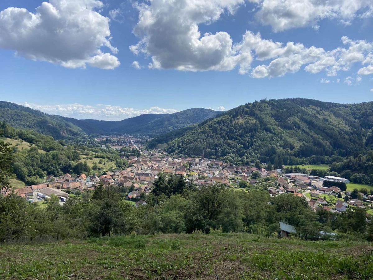 Les Noyers Du Wissbach Villa Willer-sur-Thur Exteriör bild