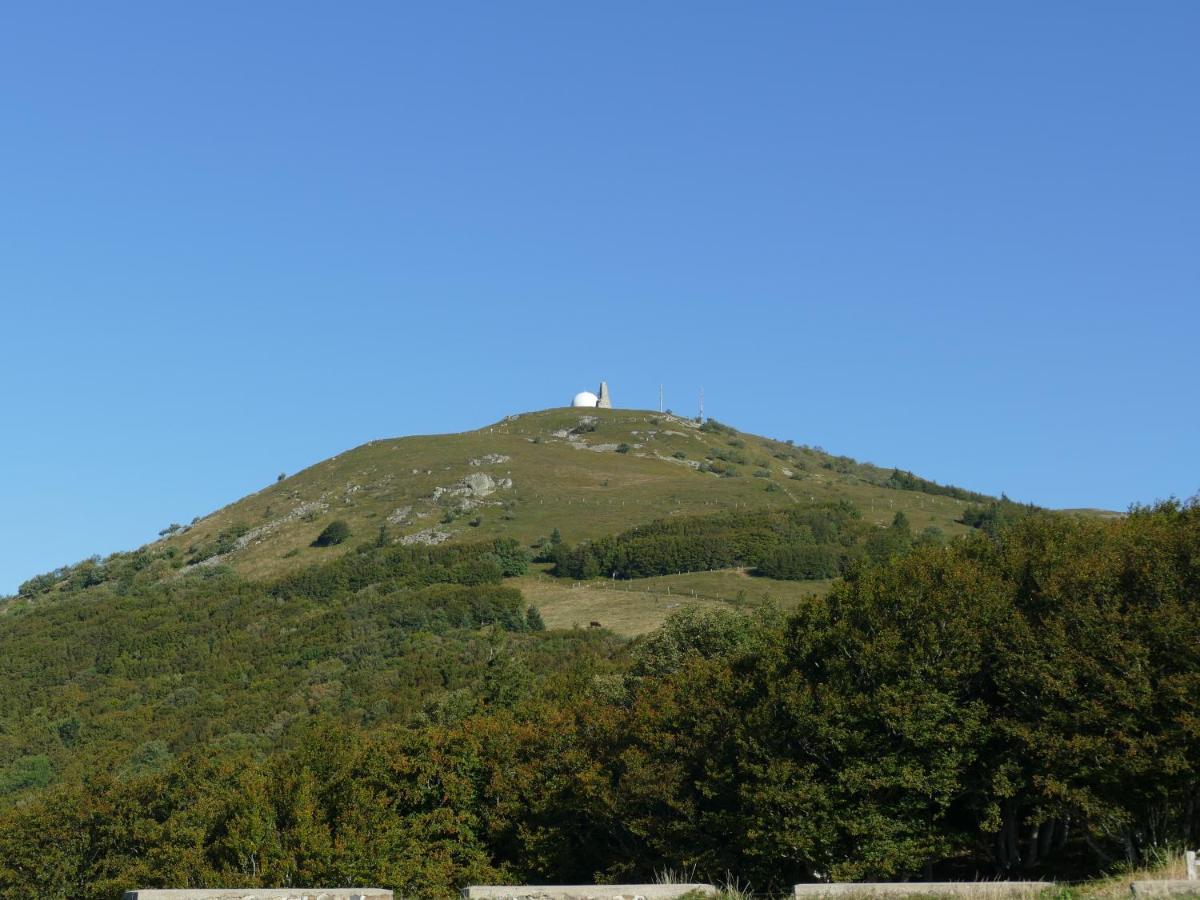 Les Noyers Du Wissbach Villa Willer-sur-Thur Exteriör bild