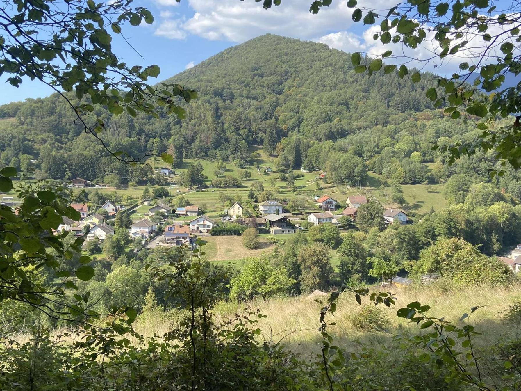 Les Noyers Du Wissbach Villa Willer-sur-Thur Exteriör bild