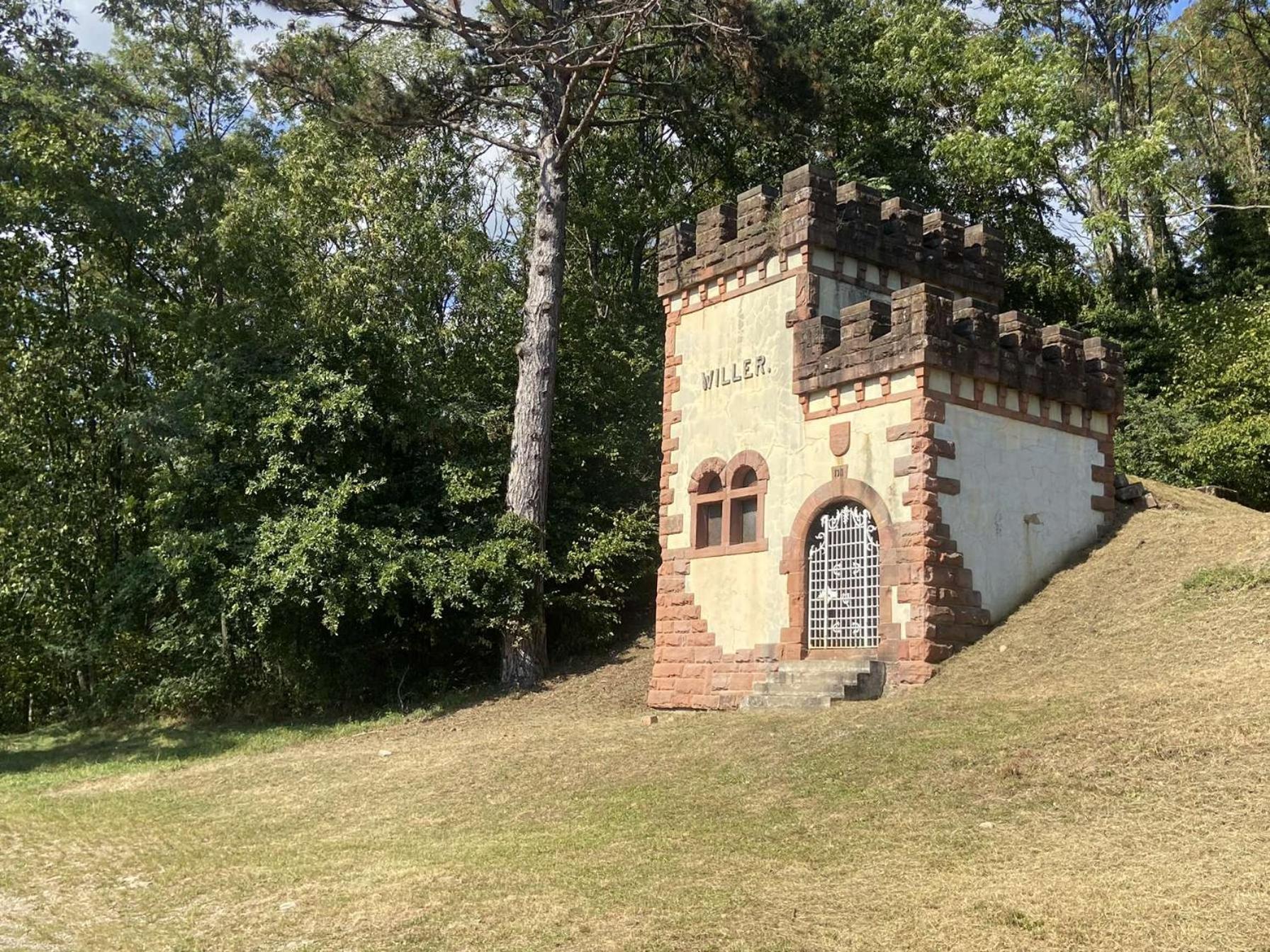 Les Noyers Du Wissbach Villa Willer-sur-Thur Exteriör bild